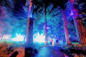 Electric Wonderland