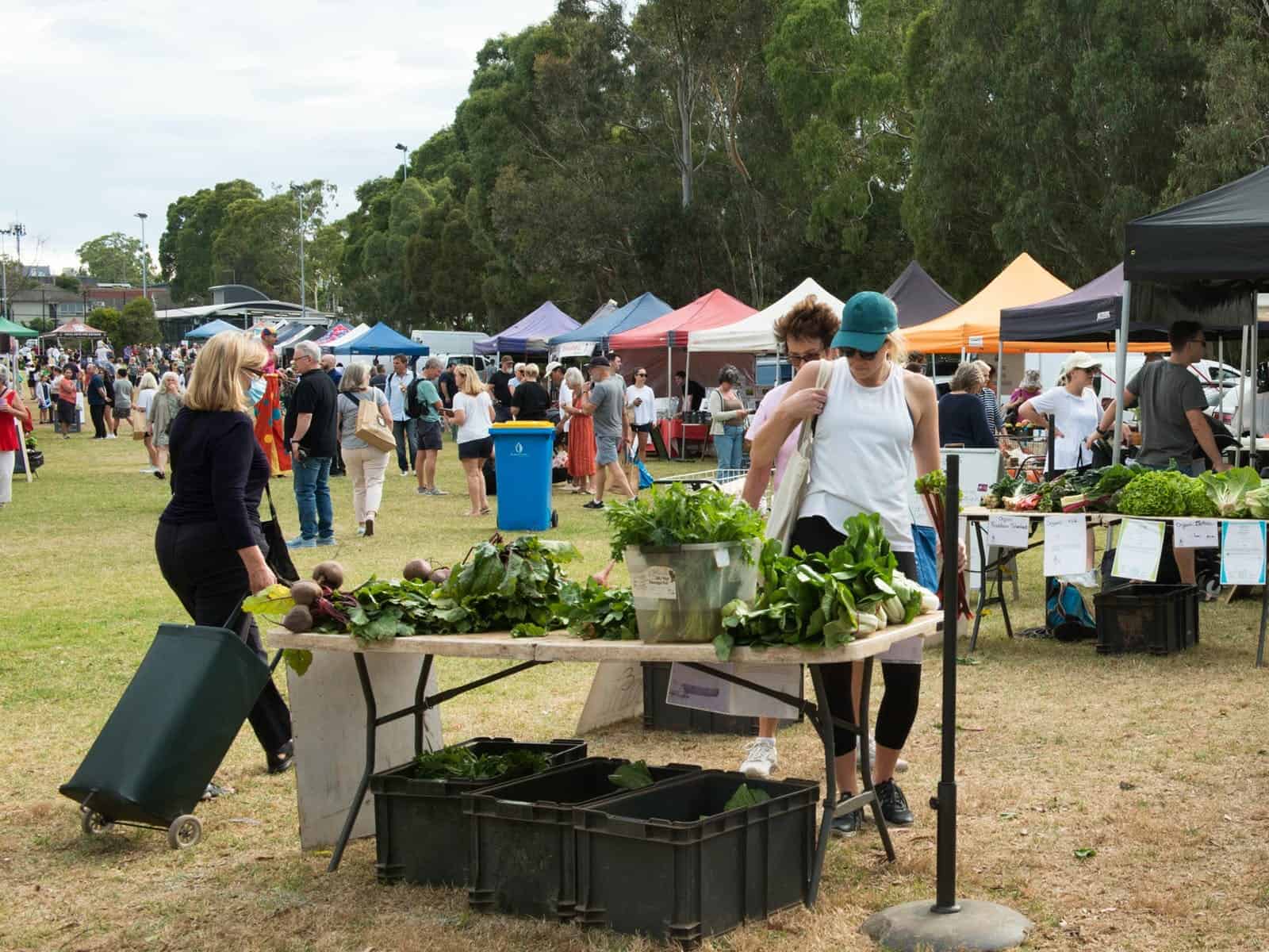 Boroondara Farmers Market