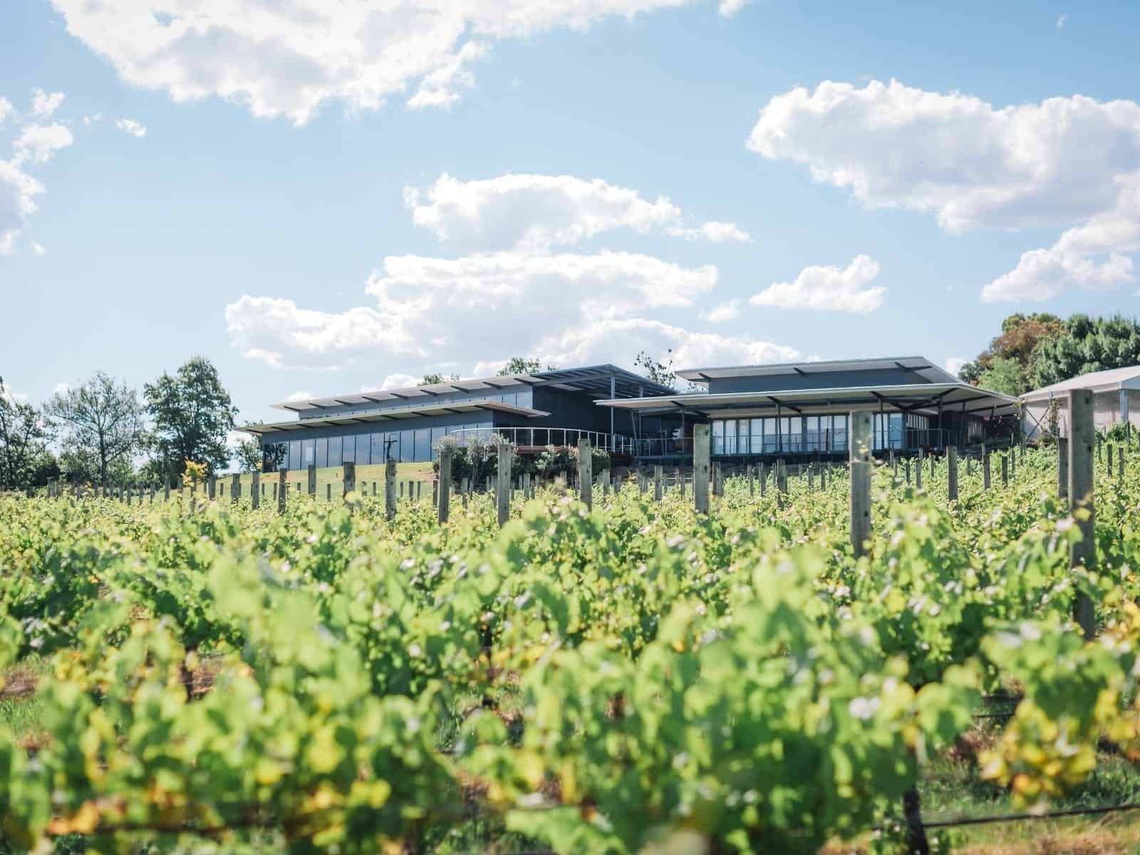 Balgownie Estate Yarra Valley