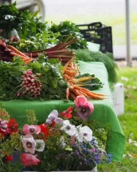 Healesville Organic Farmers Market