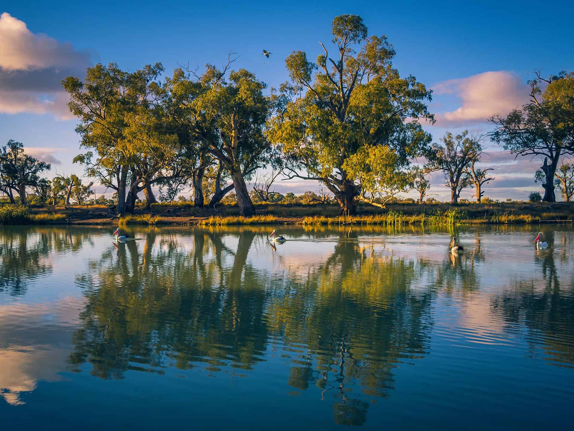 Mildura