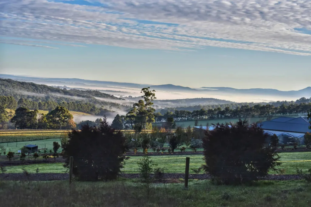 Yarra Valley