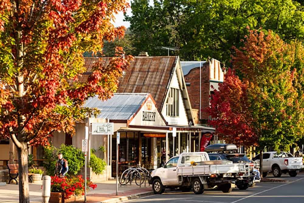 Beechworth Bakery Bright
