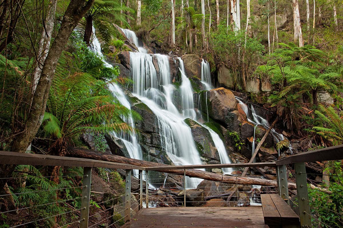 Toorongo Falls Reserve