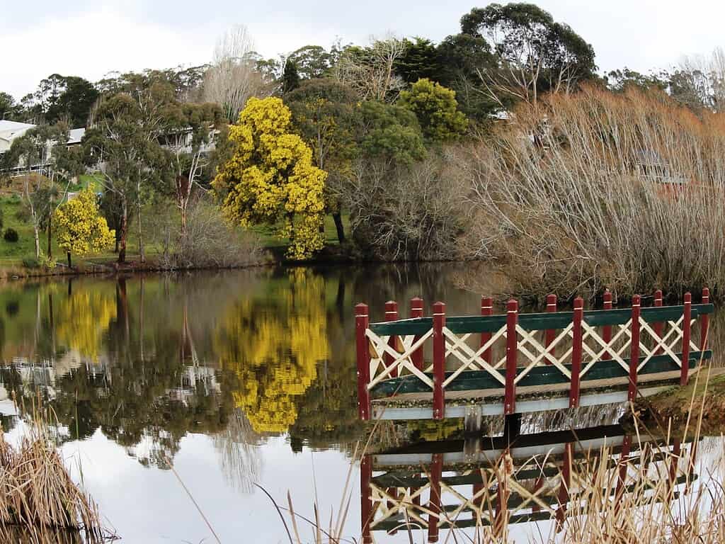 Peace Mile Walk at Lake Daylesford