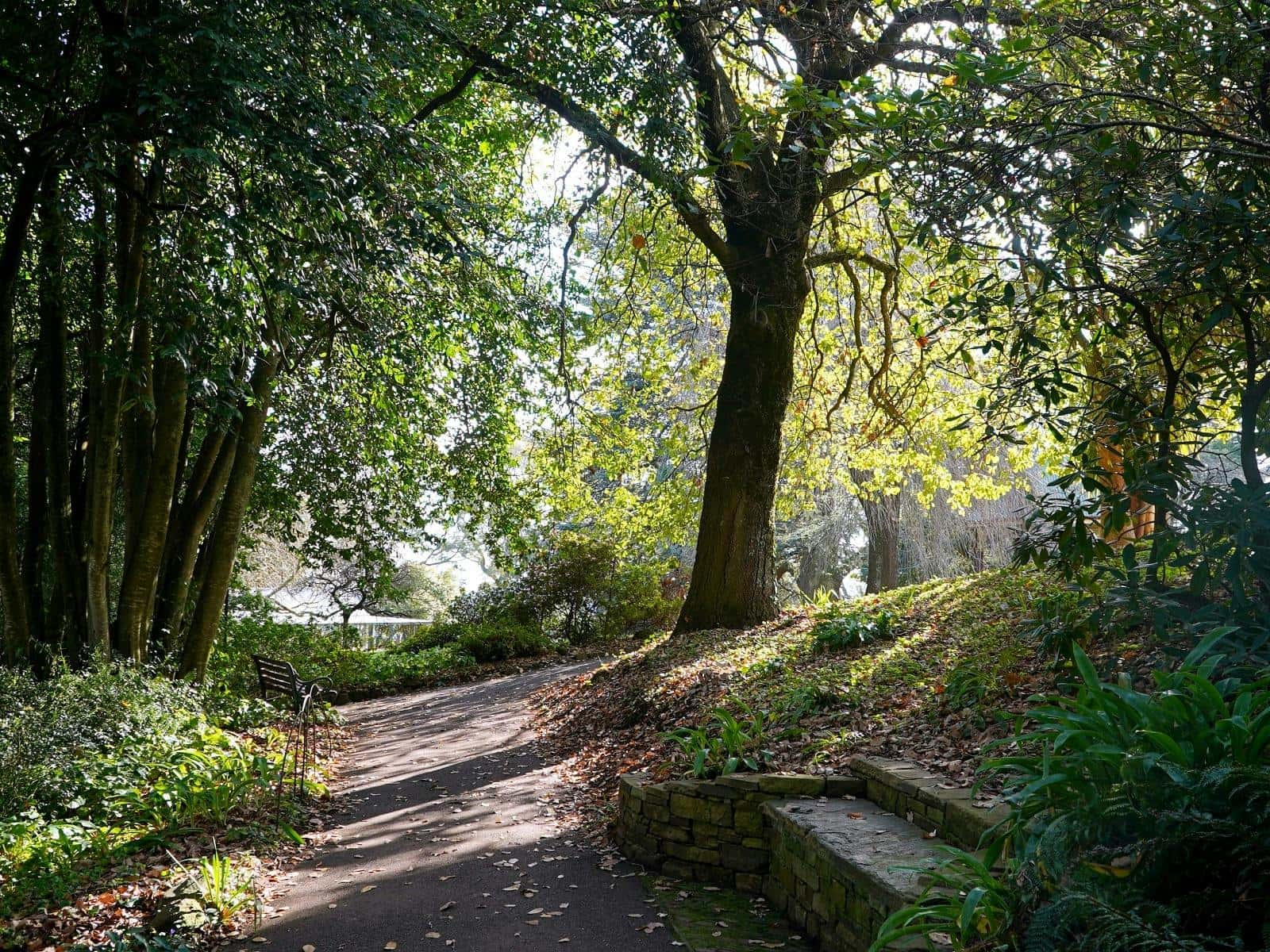 Wombat Hill Botanic Gardens