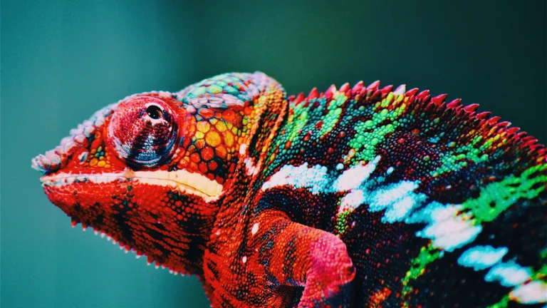 Adapting to Changing Consumer Preferences in Tourism