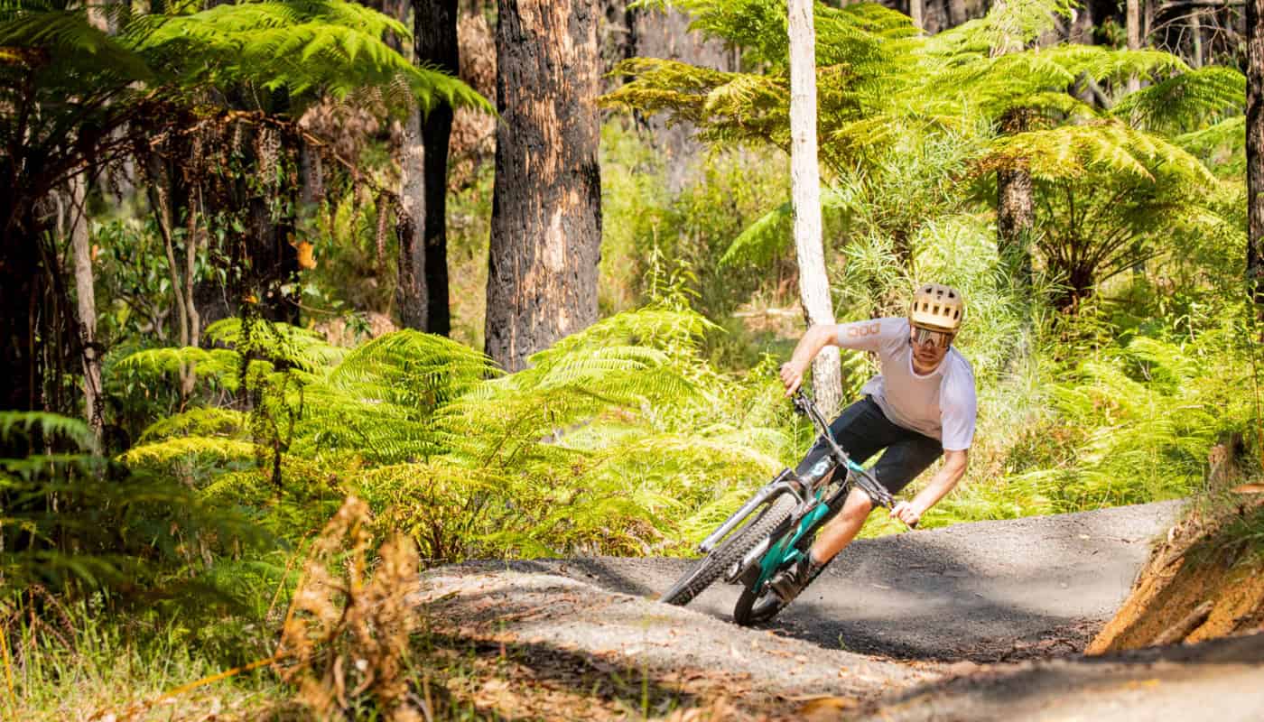 Forrest Mountain Bike Trails