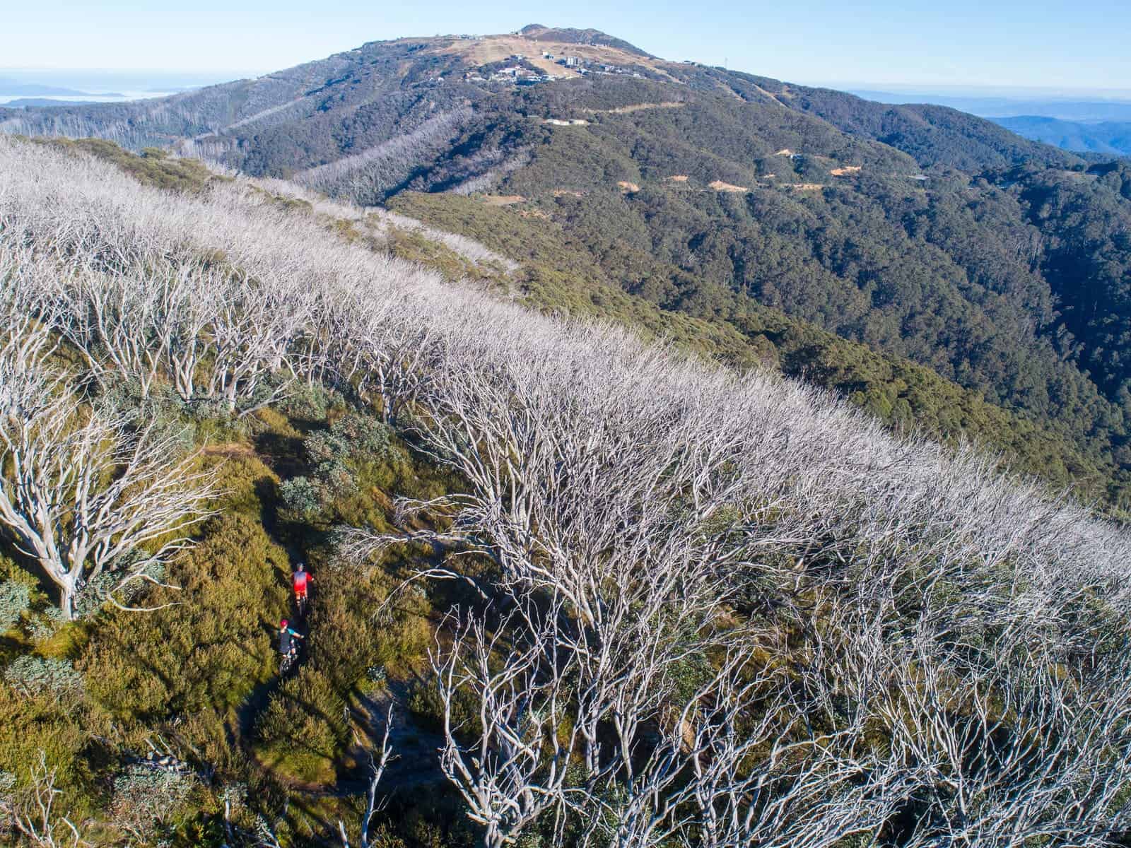 Mt Buller Bike Park