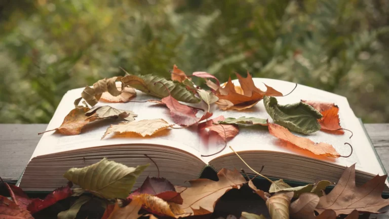 The Power of Storytelling