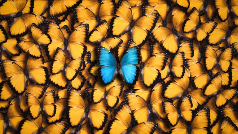 What Makes a Destination Business Stand Out