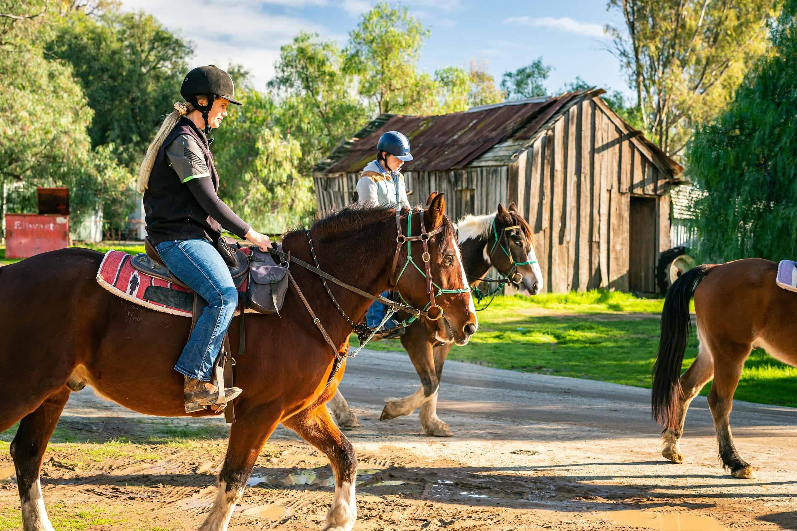 Billabong Ranch