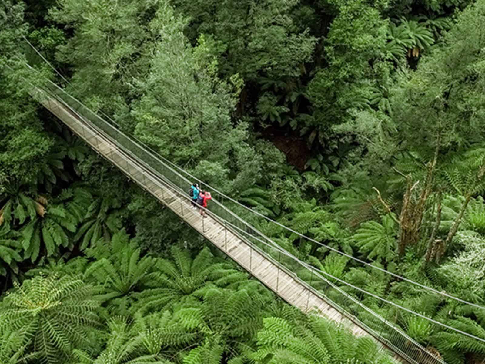 Corrigan Suspension Bridge