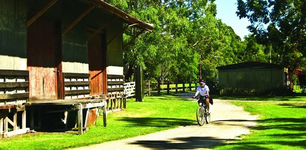 Lilydale to Warburton Rail Trail