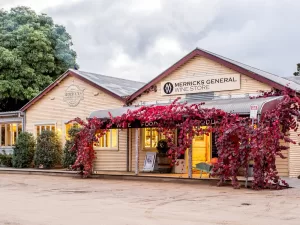 Merricks Store
