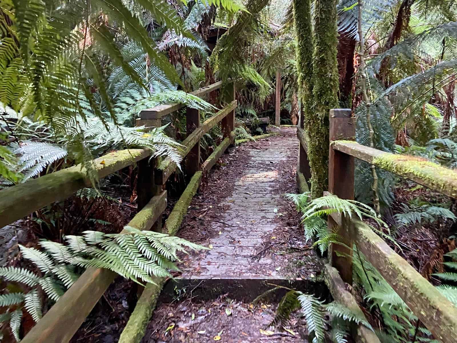 Myrtle Gully Circuit