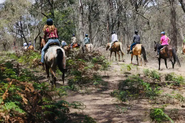Spring Creek Horse Rides