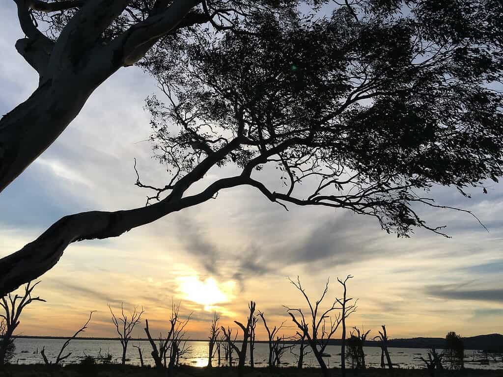 The Spit - Winton Wetlands