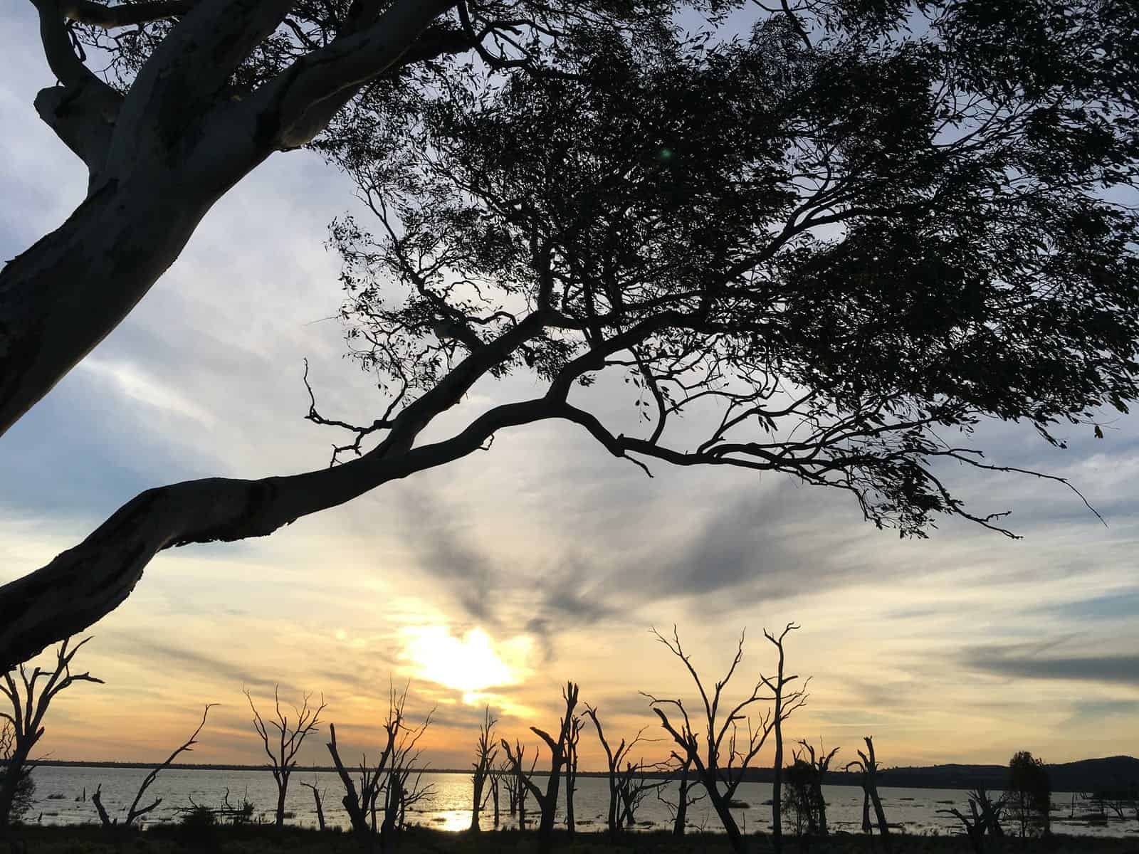 The Spit - Winton Wetlands