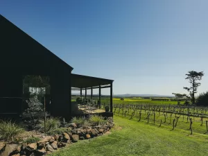 Wayward Winery
