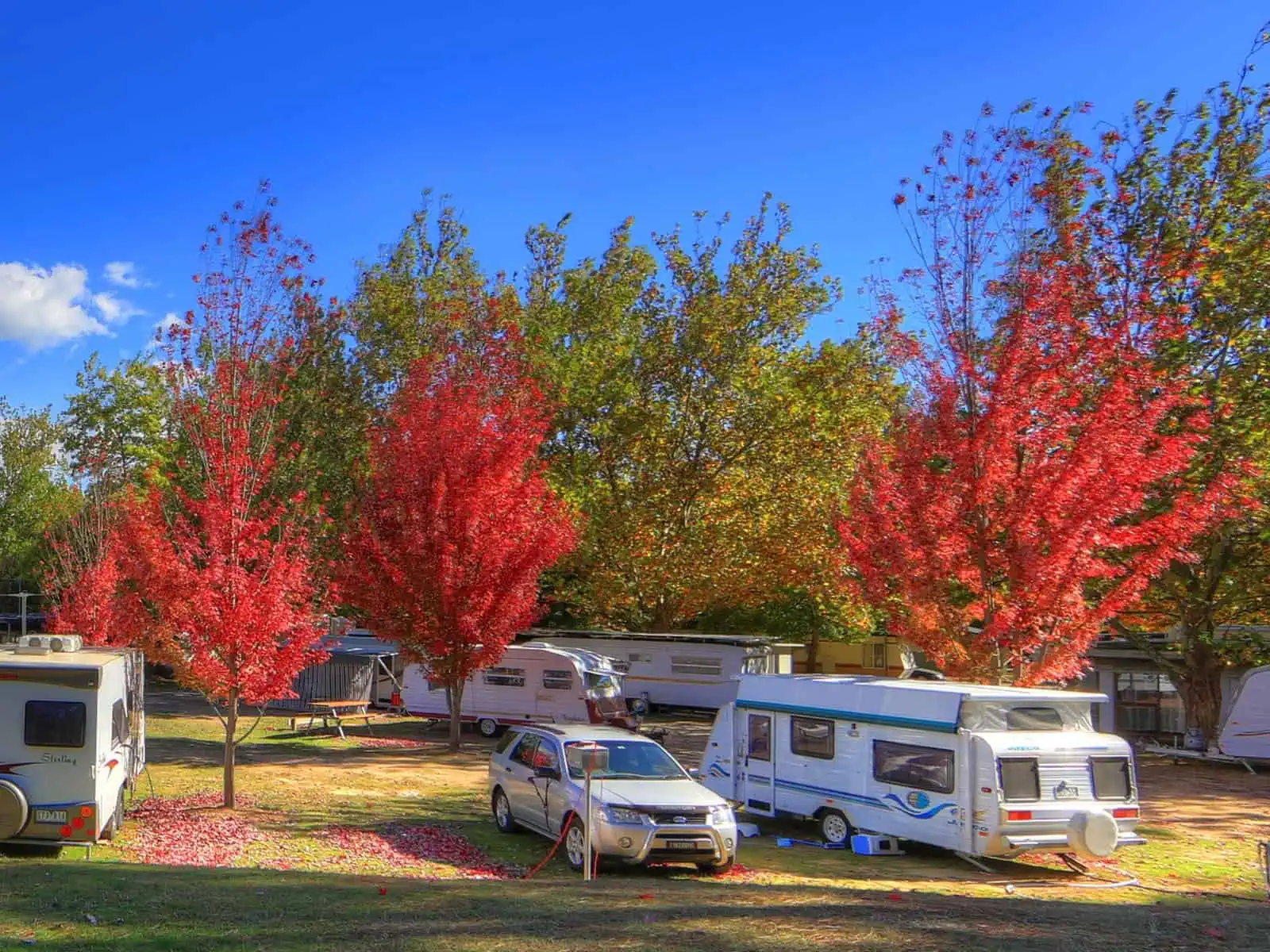 Beechworth Lake Sambell Caravan Park