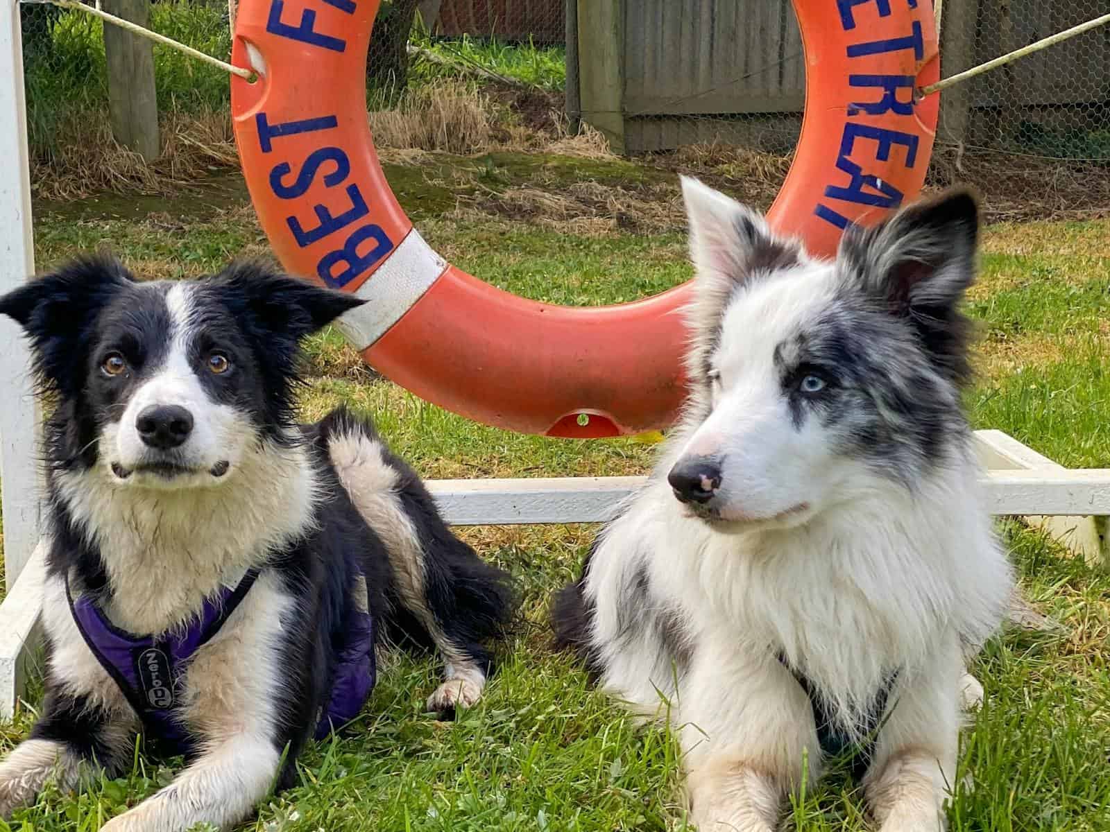 Best Friend Holiday Retreat