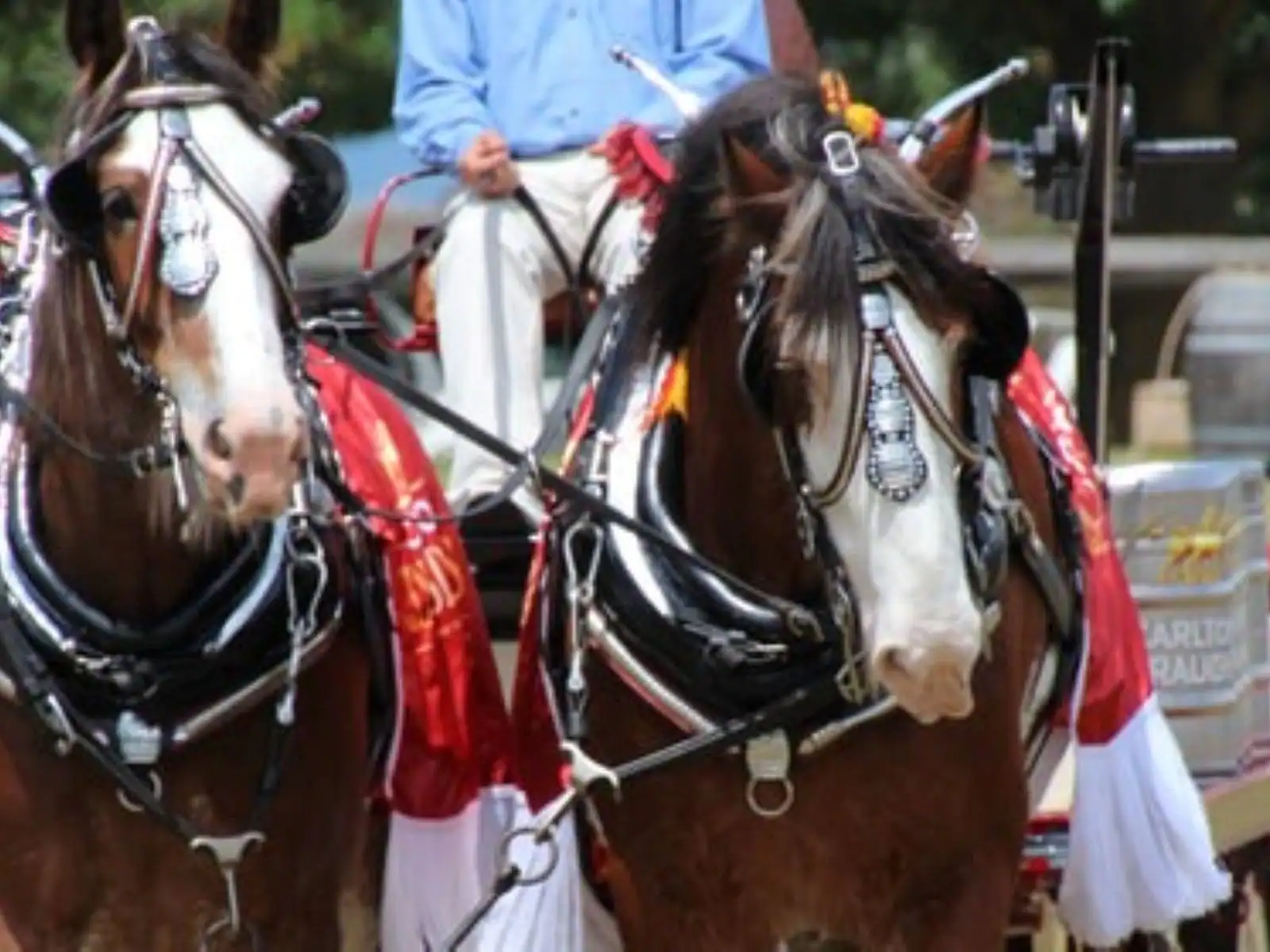 Mansfield Agricultural Show