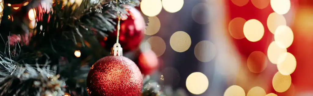 Christmas Eve in the Park