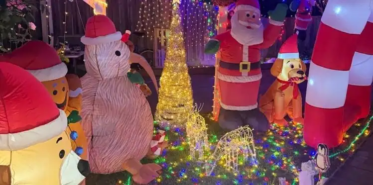 Rochdale Drive Reindeer Lights