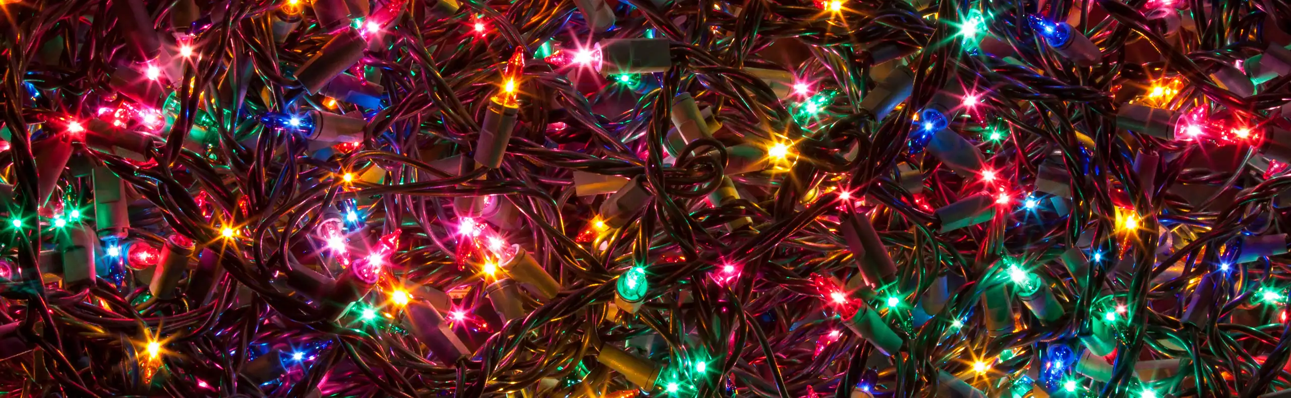 Dennis Court Festive Front Yard